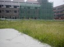 F19.中華電信台中縣大里市土地市場價值評估暨開發效益與可行性評估案